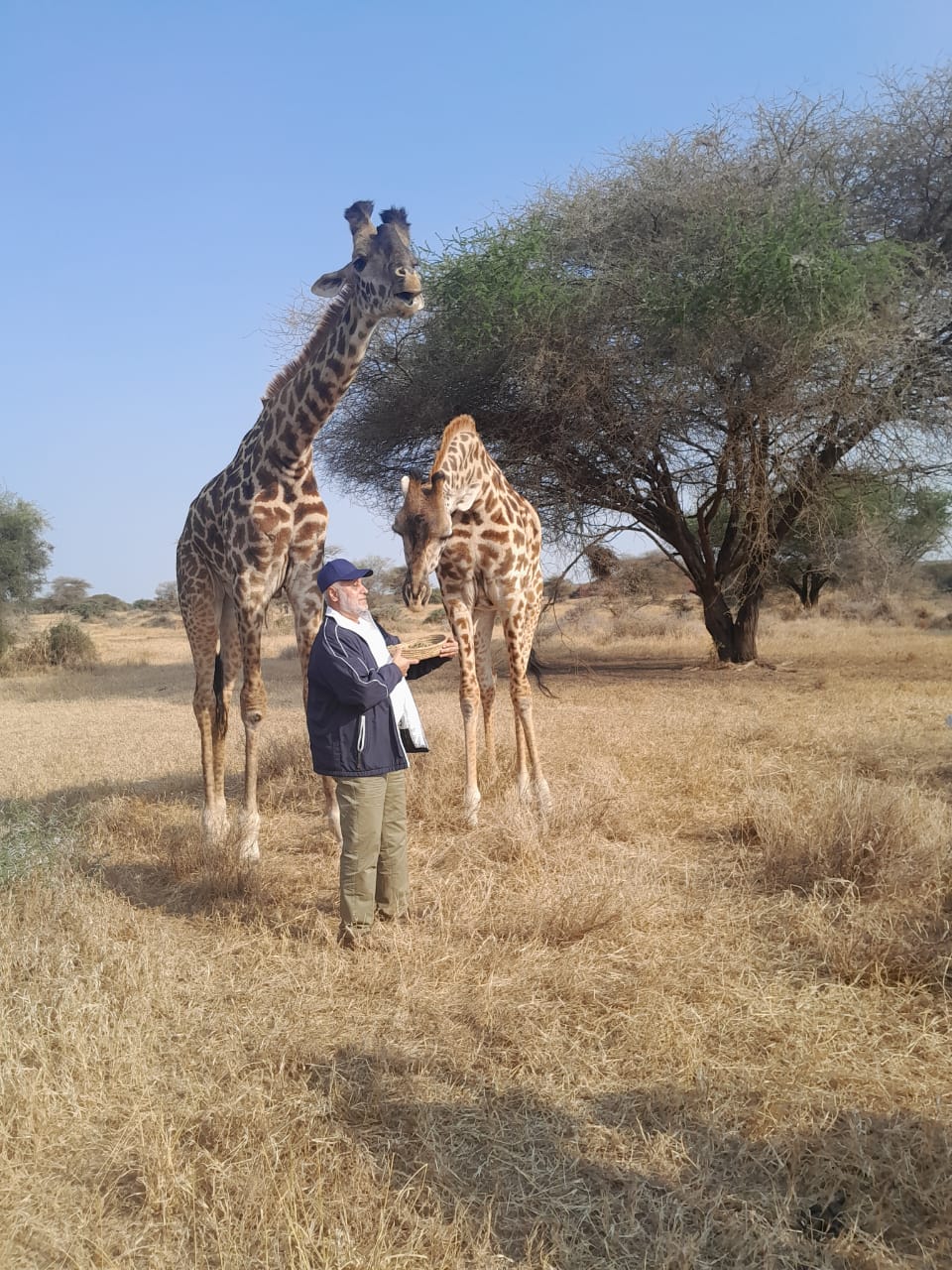 Ngorongoro Crater